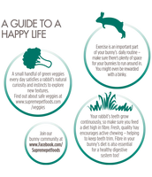 Supreme - Science Selective Rabbit 4+ - 1.5kg