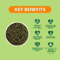 Burgess - Excel - Guinea Pig Food with Mint - 3kg