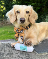 JR Pet Products - Pure Salmon Pate - 200g