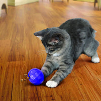 Kong - Cat Treat Ball