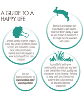 Supreme - Science Selective Adult Rabbit - 1.5kg