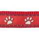 Red Dingo - Red Desert Paws Dog Collar - Medium