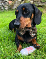 JR Pet Products - Pure Duck Pate - 80g