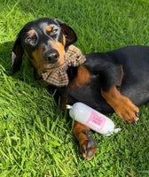 JR Pet Products - Pure Lamb Pate - 200g