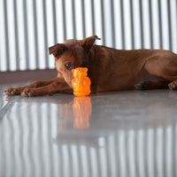 Kong - Squeezz Jels - Large