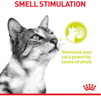 Royal Canin - Sensory Cat Food - Variety Multipack (in gravy)