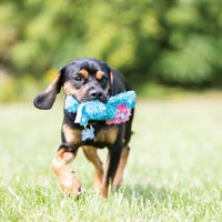 Kong - Cozies Brights - Assorted - Small