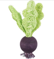 Trixie - Wooden Small Animal Nibble Toy Set - Beetroot & Strawberry (Wood/loofah)