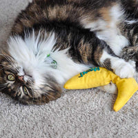 BAM - Banana Catnip Toy