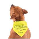 Ancol - Warning (Respect My Space) Bandana - Yellow - M/L