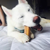 Petello - Yak Cheese With Tumeric Dog Chew - Medium (75g)