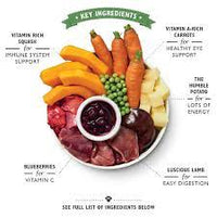 Lilys Kitchen - Wet Dog Food - Lamb Hotpot - 400g Tin