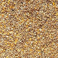 Mr Johnson - Premium Mixed Corn - 5kg