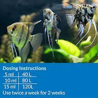 API - Prevent Algae Liquid - 118ml