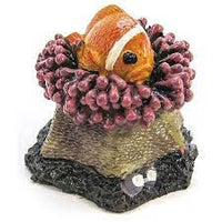 Rosewood - Aqua Kritters -  Assorted design