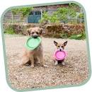 Beco Things - Travel Bowl - Small - Pink