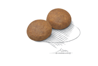 Royal Canin - Adult Dog Maxi 5+ - 4kg