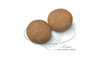 Royal Canin - Adult Dog Medium - 4kg