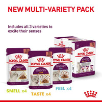 Royal Canin - Sensory Taste In Gravy - 12 Pack