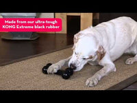 Kong - Goodie Dog Bone - Medium