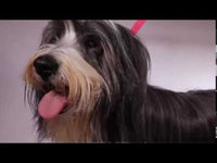 Mikki - All Tangled Up - Easy Grooming Anti tangle Comb - Fine Coat