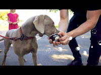 Utterly Mutterly - Dog Ice Cream - 120ml