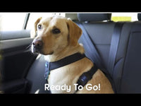 Company of Animals - Clix Car Safe Harness - Large