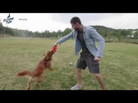 GiGwi - Flying Tug Tri Bone - Blue