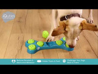 Iquties - Bone Hide IQ Game