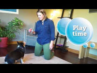 Kong - Cuteseas Octopus - Small