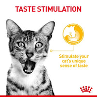 Royal Canin - Sensory Taste In Gravy - 12 Pack
