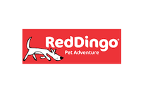 Red Dingo - Purple Flying Bones Lead - Medium