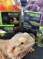 Komodo - Jelly Pot - per pot