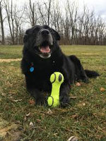 Kong - Air Kong Squeaker - Dumbbell - Large