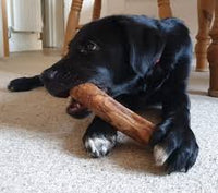 Antos - Origins - Olive Wood Chew - Large (220g - 450g)