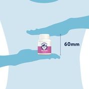 Dorwest - Milk Thistle Tablets - 100 Tablets