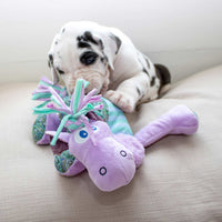 Kong - Knots Carnival - Camel - Medium/large