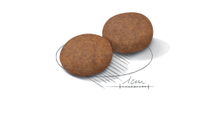 Royal Canin - Adult Dog Medium 7+ - 4kg