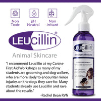 Leucillin - Antiseptic Skin Care Spray - 500ml