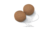 Royal Canin - Adult Dog Maxi - 4kg