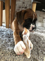 Rabbit Ear (with Fur) - Dog Chew - Per Chew