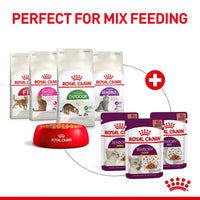 Royal Canin - Sensory Smell In Gravy - 12 Pack