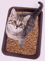 CJ's - Premium Wood Based Cat Litter - 5L