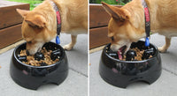 Dogit - Go-Slow (Anti Gulp) Bowl - Black - Med
