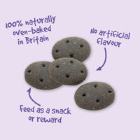 Pointer - Charcoal Cobs Dog Treat