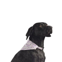 Ancol - Small Bite Bandana - Small/Medium (10cm)