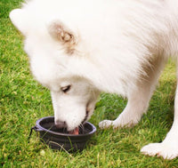 RAC - Advanced Silicone Foldable Bowl - 2 pack