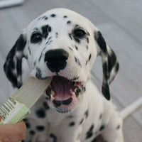 Pawsecco - Freeze Pops - 6pk x 50ml