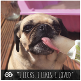 Pawsecco - Freeze Pops - 6pk x 50ml