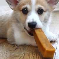 Petello - Yak Cheese With Turmeric Dog Chew - Large (115g)